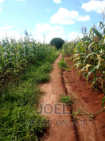 Malindi 100 Acres Ready Title Deed - Image 1