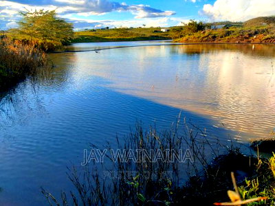 1/4 Arca Piece Land for Sell on Illasim Road Corner Baridi - Image 4