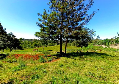 10-Acre Karen Land with Borehole