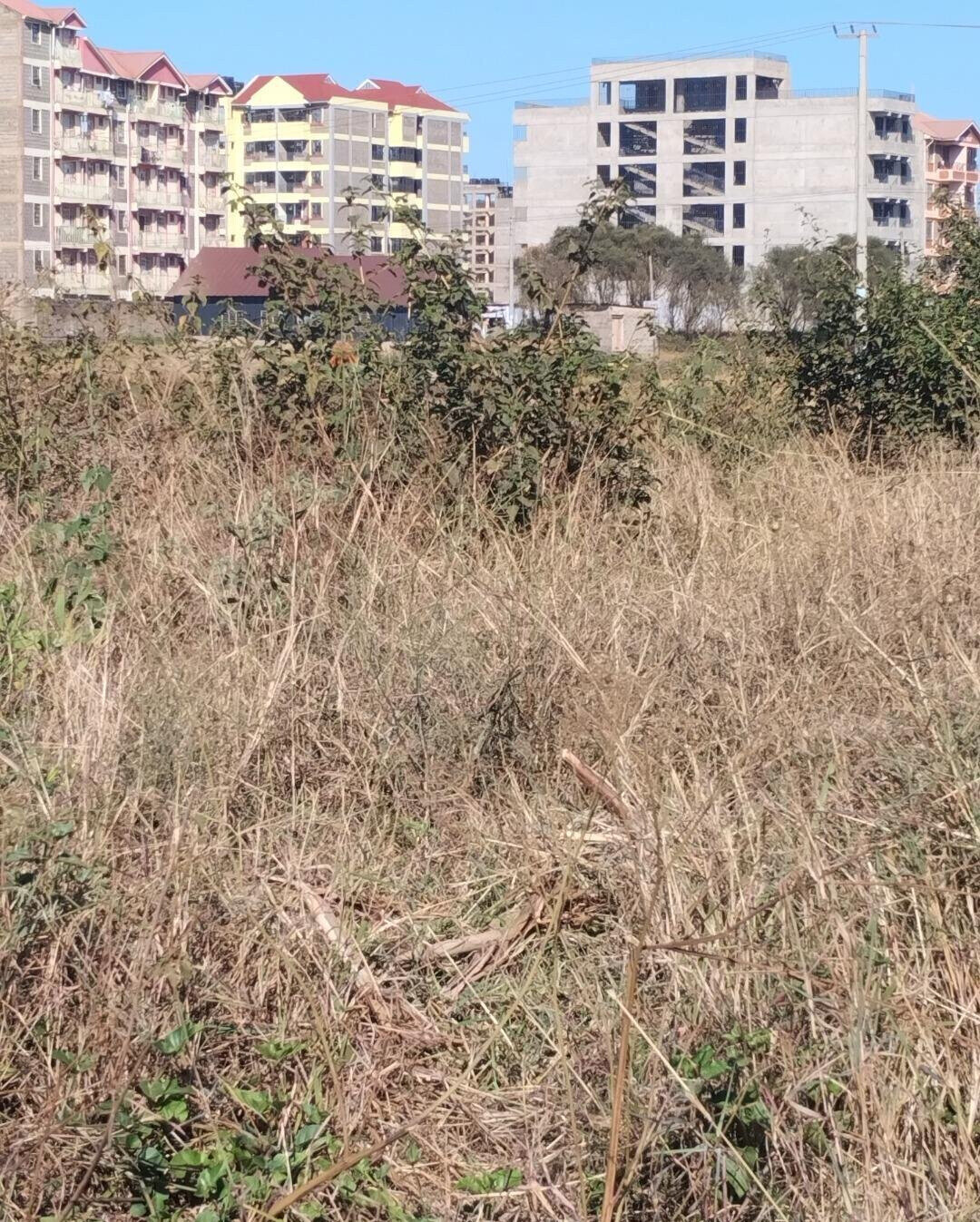 8-Acre Commercial Plot in Thika CBD