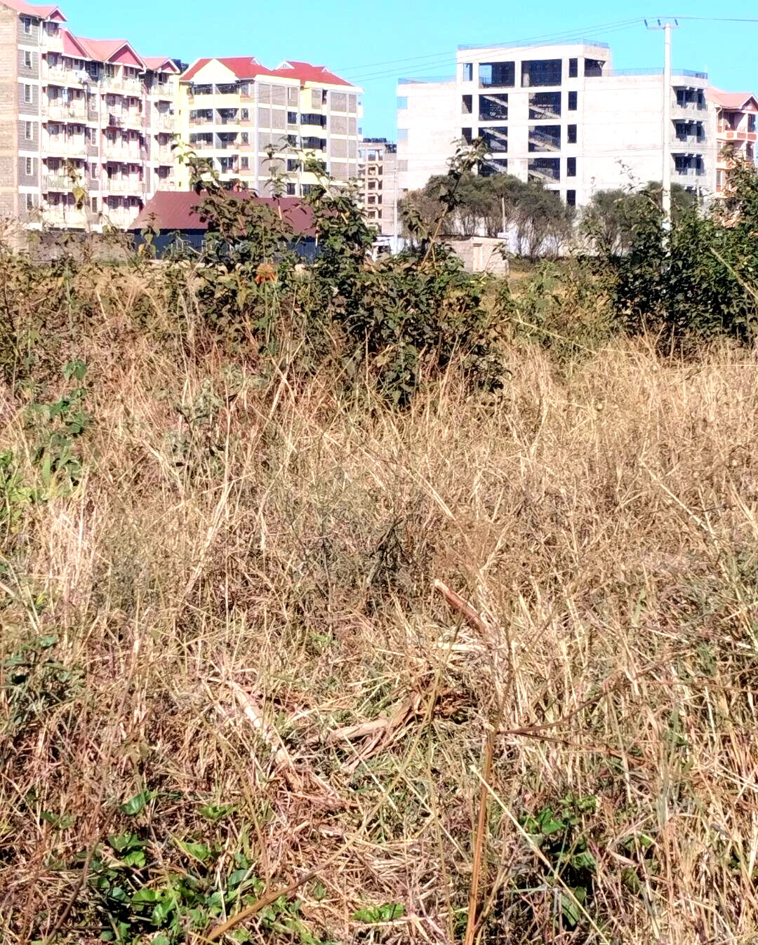 8-Acre Commercial Plot in Thika CBD