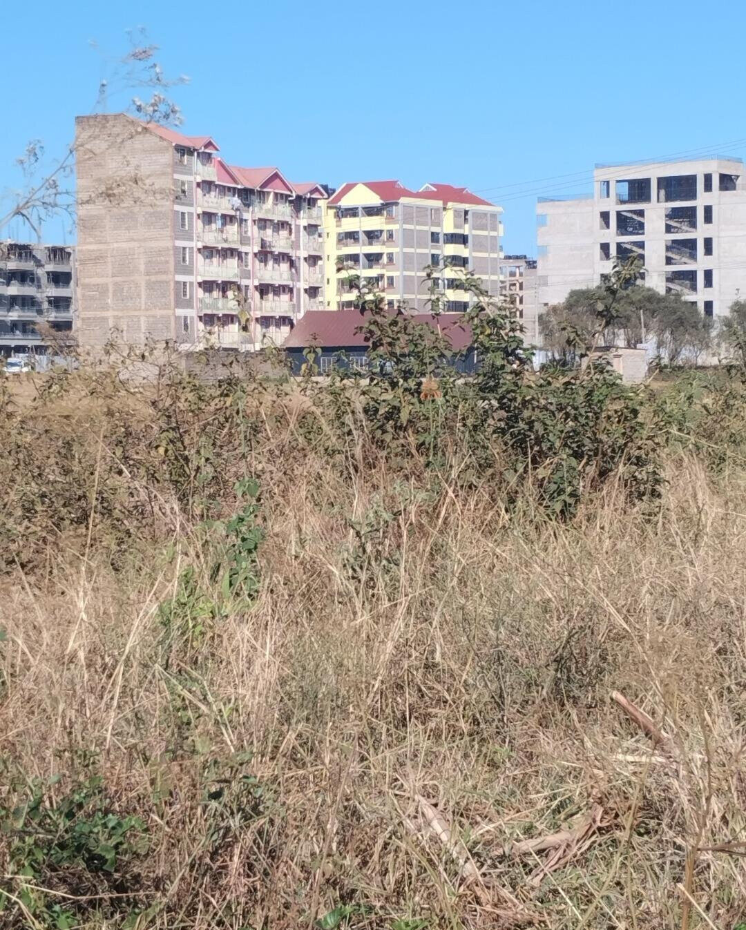 8-Acre Commercial Plot in Thika CBD