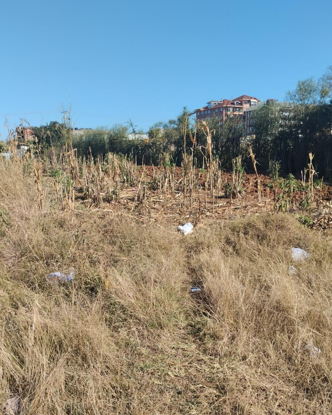 8-Acre Commercial Plot in Thika CBD