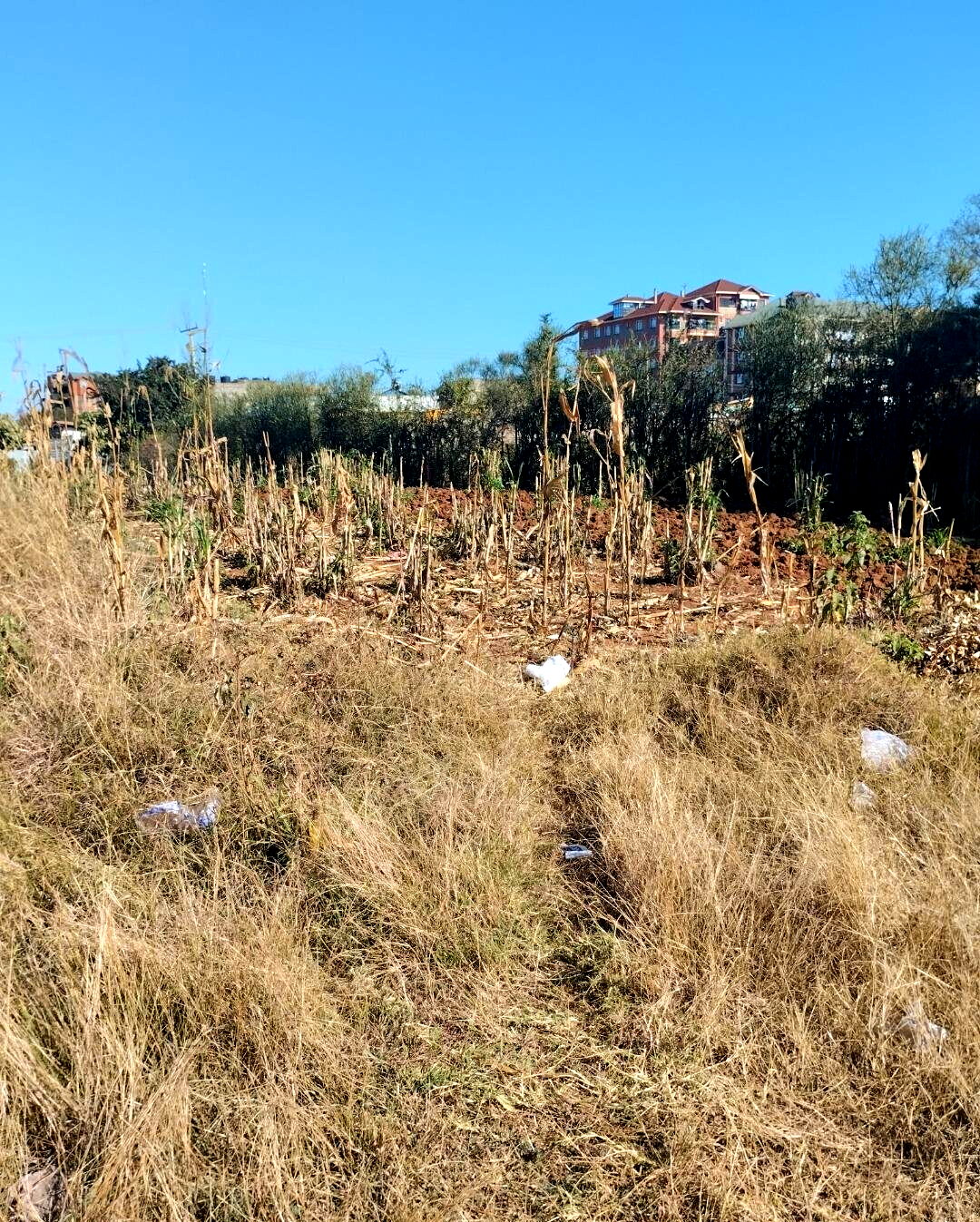 8-Acre Commercial Plot in Thika CBD