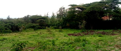 Half Acre Kiserian Plot at KSh 11M