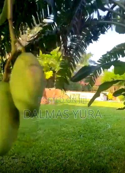 Furnished 3bdrm Villa in Malindi for sale - Image 5