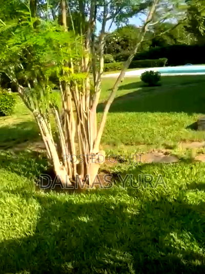 Furnished 3bdrm Villa in Malindi for sale - Image 3