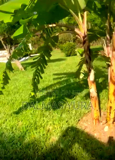 Furnished 3bdrm Villa in Malindi for sale - Image 4