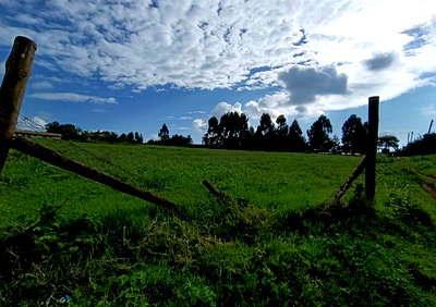4-Acre Garden Plot with Parking - Ndumberi