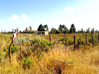50x100 Plot for Sale in Gilgil Langa Langa - Image 10