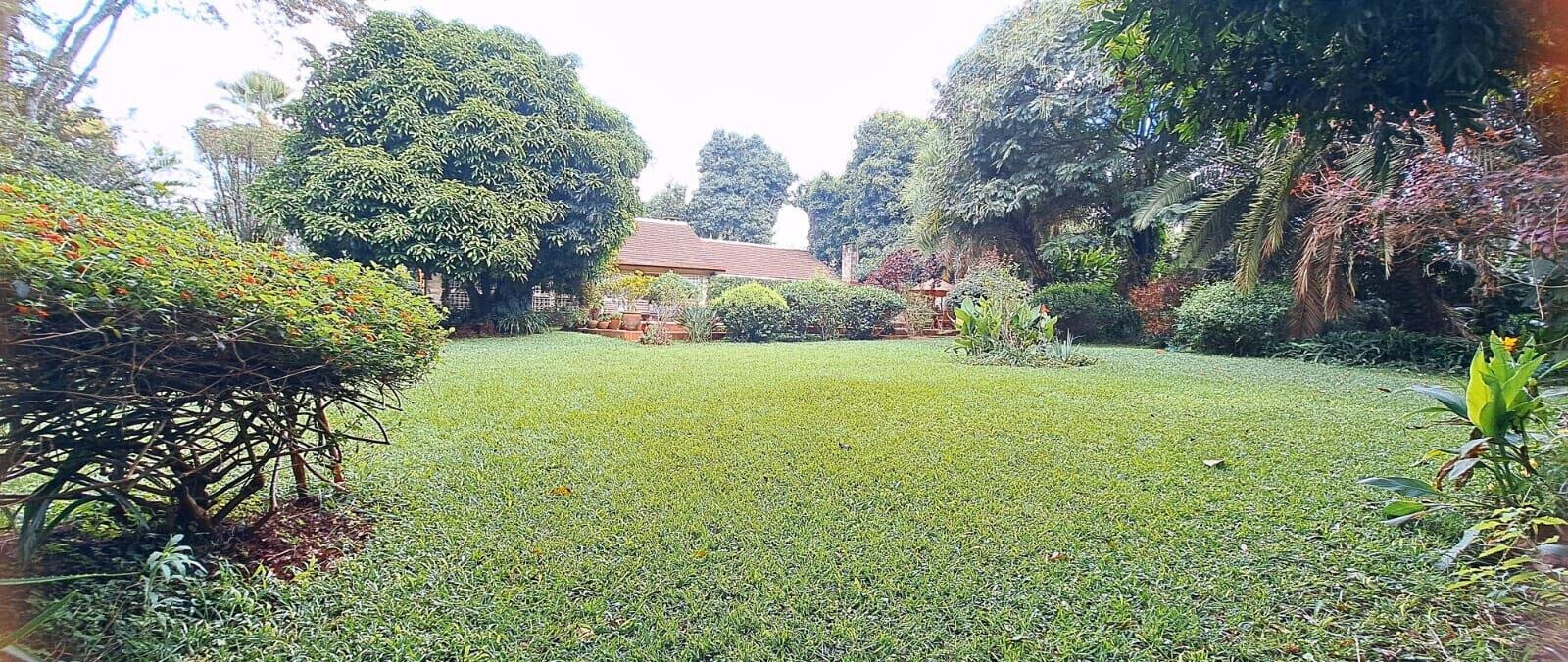 Remodeled Colonial 3BR with Pool & 0.6 Acres – Rosslyn