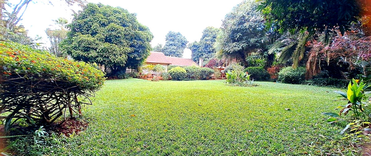 Remodeled Colonial 3BR with Pool & 0.6 Acres – Rosslyn