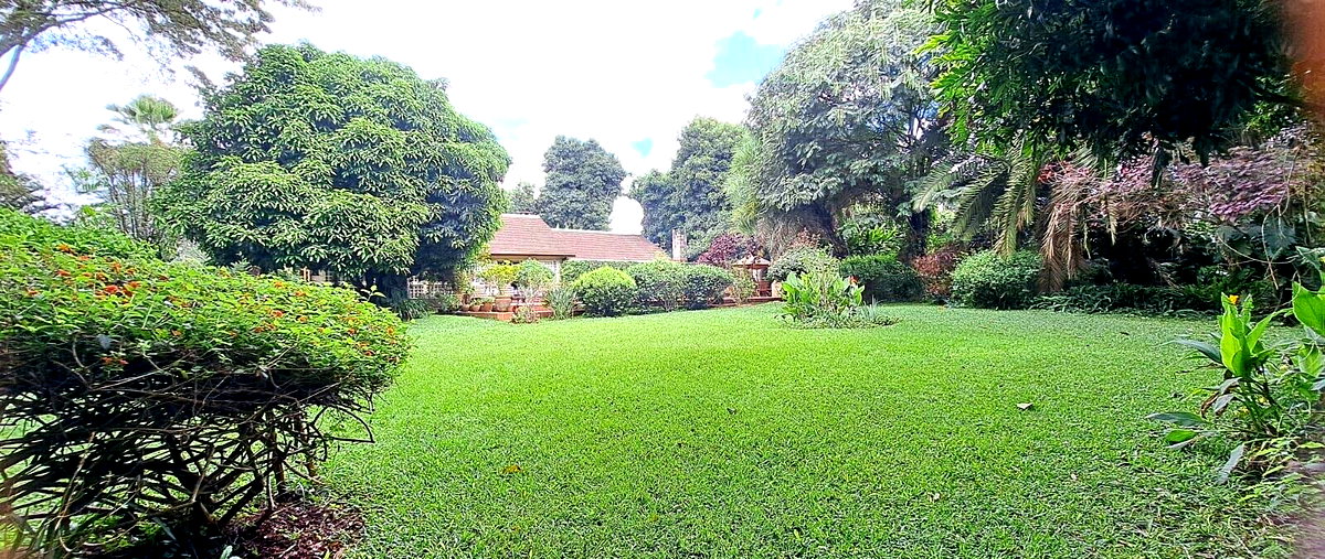 Remodeled Colonial 3BR with Pool & 0.6 Acres – Rosslyn