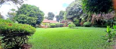 Remodeled Colonial 3BR with Pool & 0.6 Acres – Rosslyn