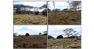 6-Acre Freehold Land in Isinya