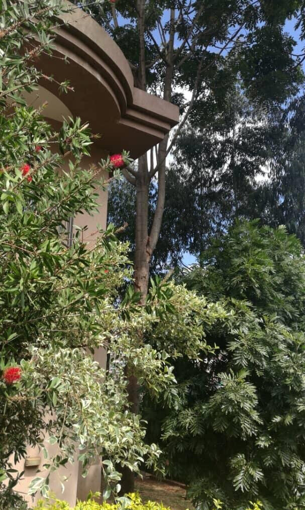 5-Ensuite Townhouse with Solar & LED Lighting - Lavington
