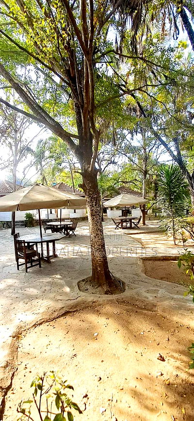 To Let Full Equipped Club Nyali - Image 8