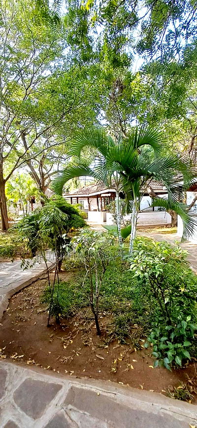 To Let Full Equipped Club Nyali - Image 9