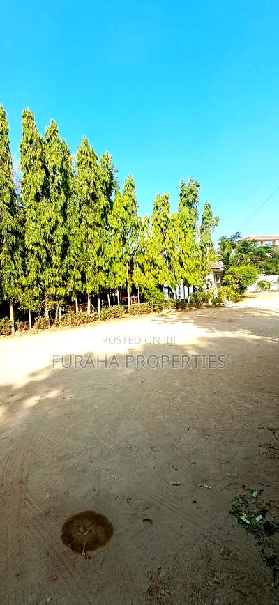 To Let Full Equipped Club Nyali - Image 5