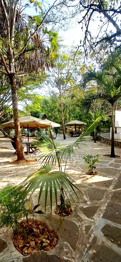 To Let Full Equipped Club Nyali - Image 6