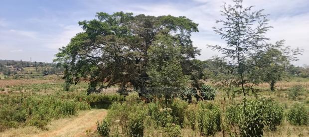 50*100 Plots for Sale in Ngong, Kerarapon Drive.