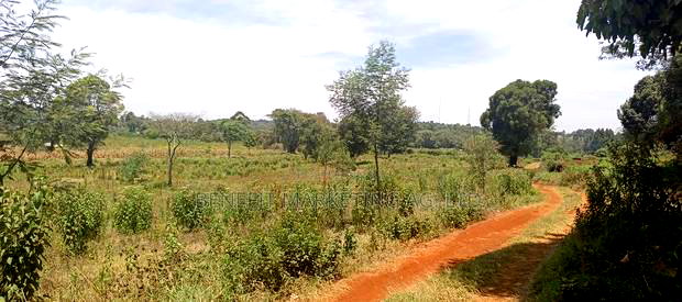 50*100 Plots for Sale in Ngong, Kerarapon Drive.