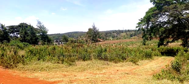 50*100 Plots for Sale in Ngong, Kerarapon Drive.