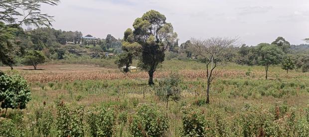 50*100 Plots for Sale in Ngong, Kerarapon Drive.