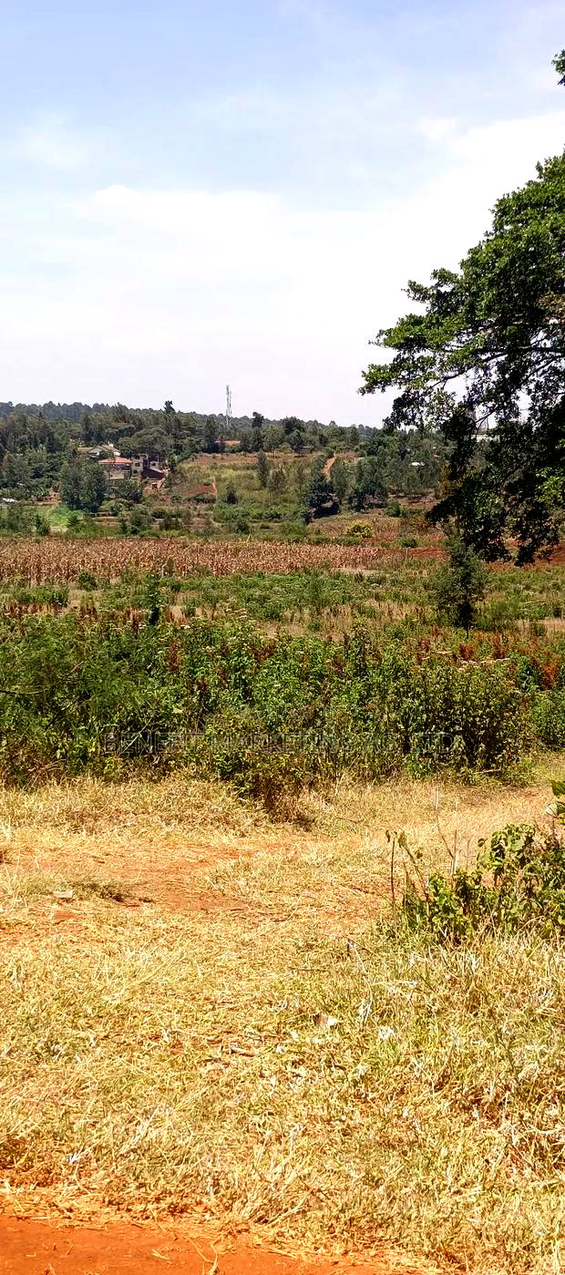 50*100 Plots for Sale in Ngong, Kerarapon Drive.