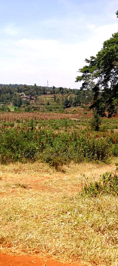 50*100 Plots for Sale in Ngong, Kerarapon Drive. - Image 3