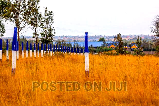 Kamulu Plots Ready to Settle at 1M.Mw