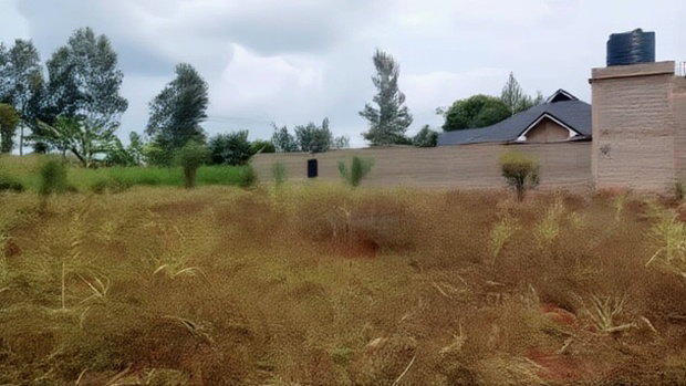 Plots for Sale in Mugutha, Ruiru at Kes 3.5M