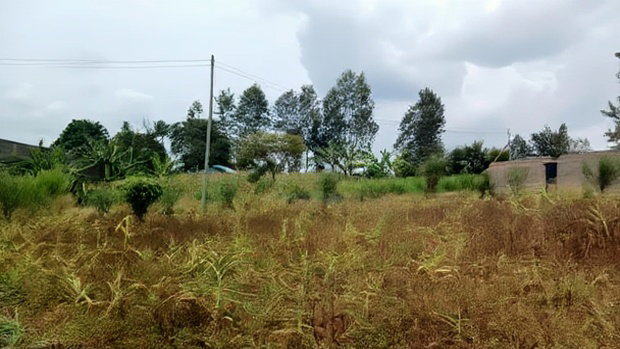 Plots for Sale in Mugutha, Ruiru at Kes 3.5M