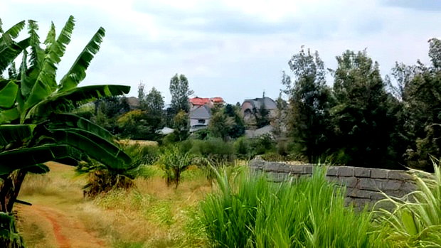 Plots for Sale in Mugutha, Ruiru at Kes 3.5M