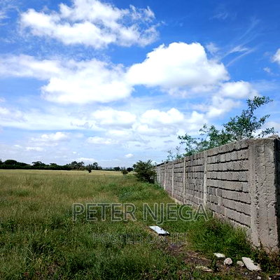 10 Acres ISINYA-KISERIAN With a Perimeter Wall 1 Km From Rd - Image 10