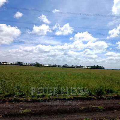 10 Acres ISINYA-KISERIAN With a Perimeter Wall 1 Km From Rd - Image 6