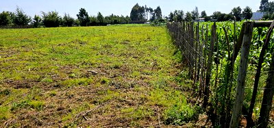 Plots for Sale in Kiplombe Opposite New MTRH in Eldoret - Image 5