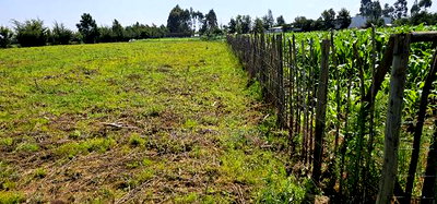 Plots for Sale in Kiplombe Opposite New MTRH in Eldoret - Image 4