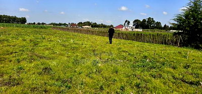 Plots for Sale in Kiplombe Opposite New MTRH in Eldoret - Image 6