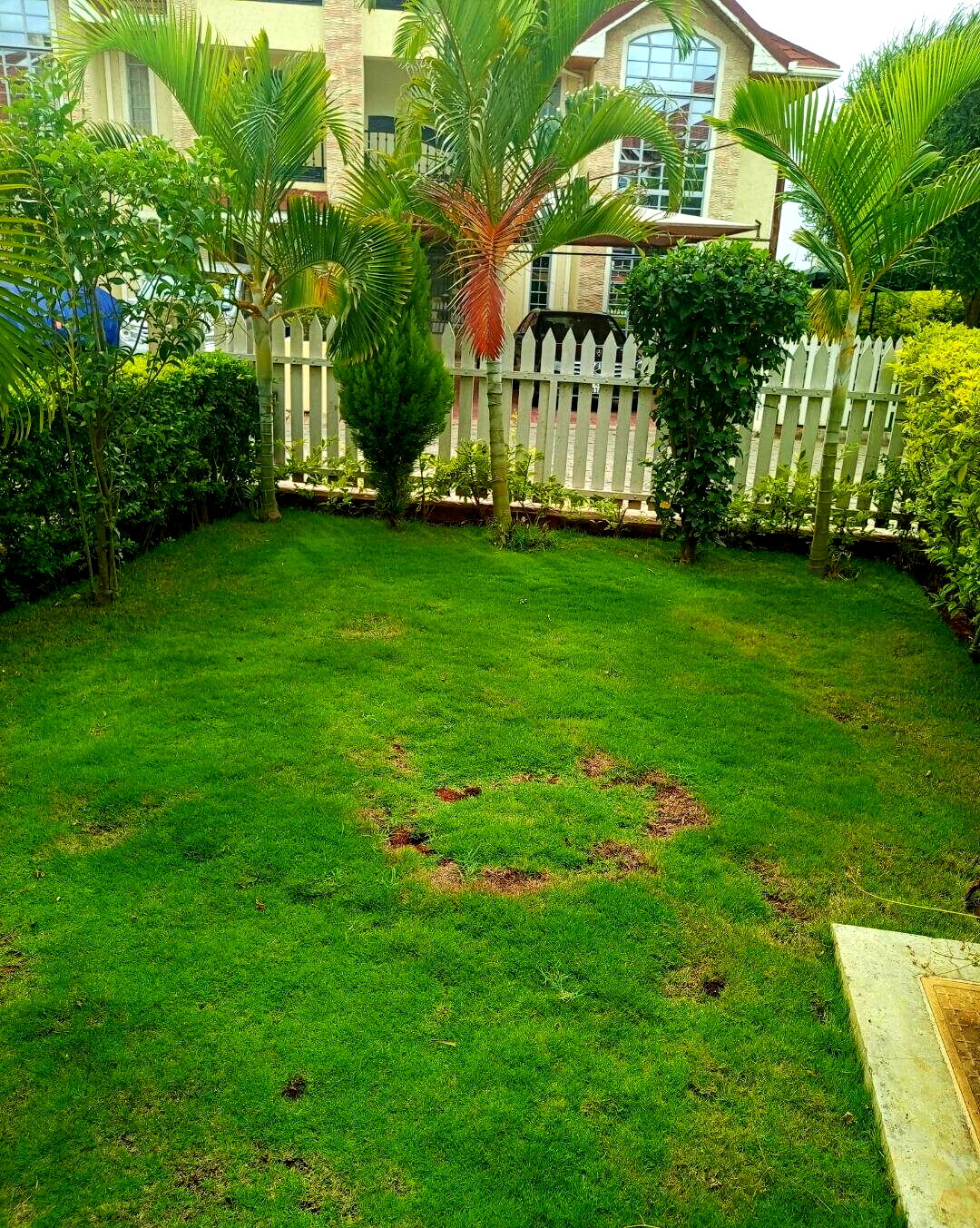 5BR All-Ensuite Townhouse with Pool & DSQ - Kitengela