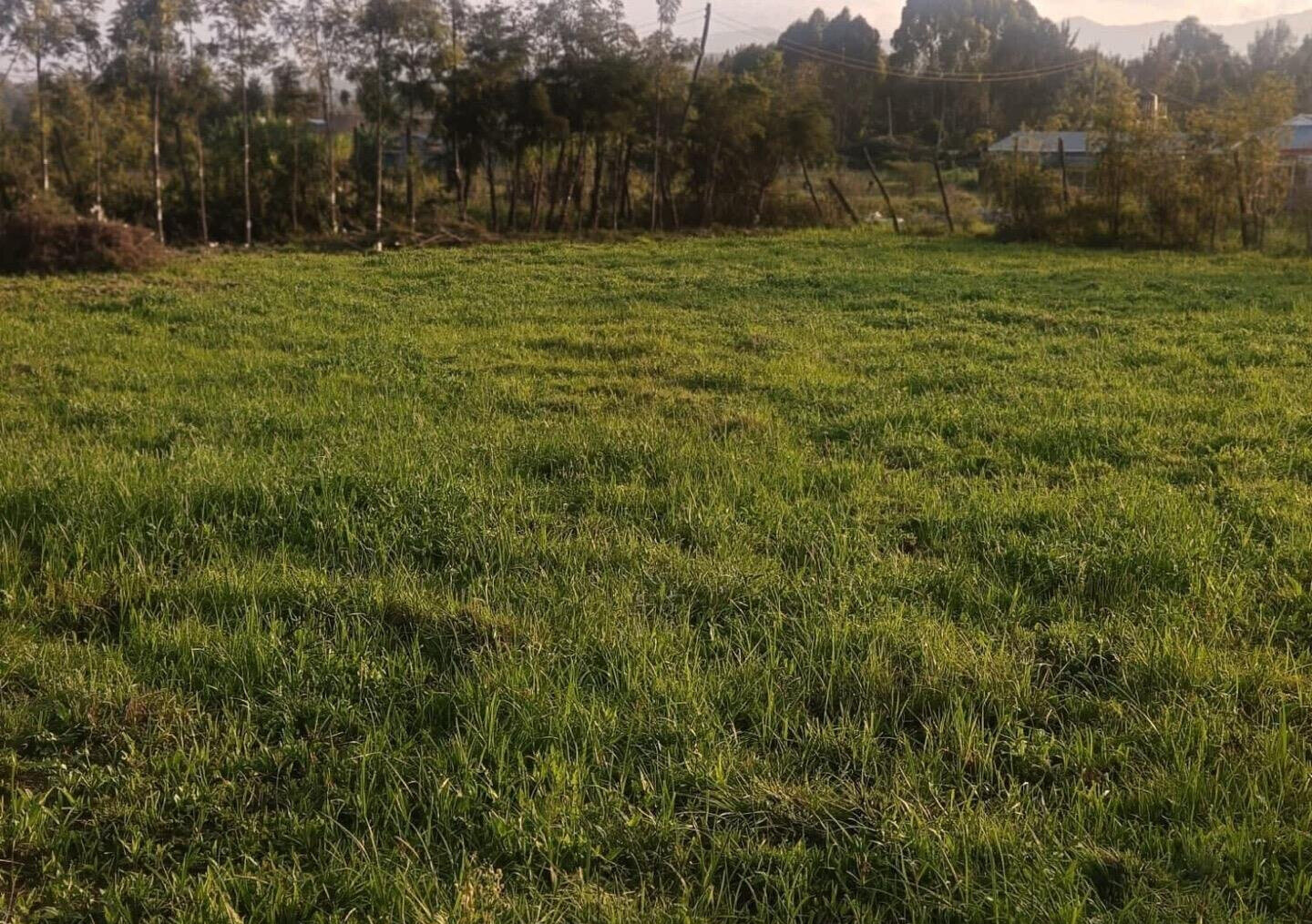 Half Acre Garden Plot in Oloolua