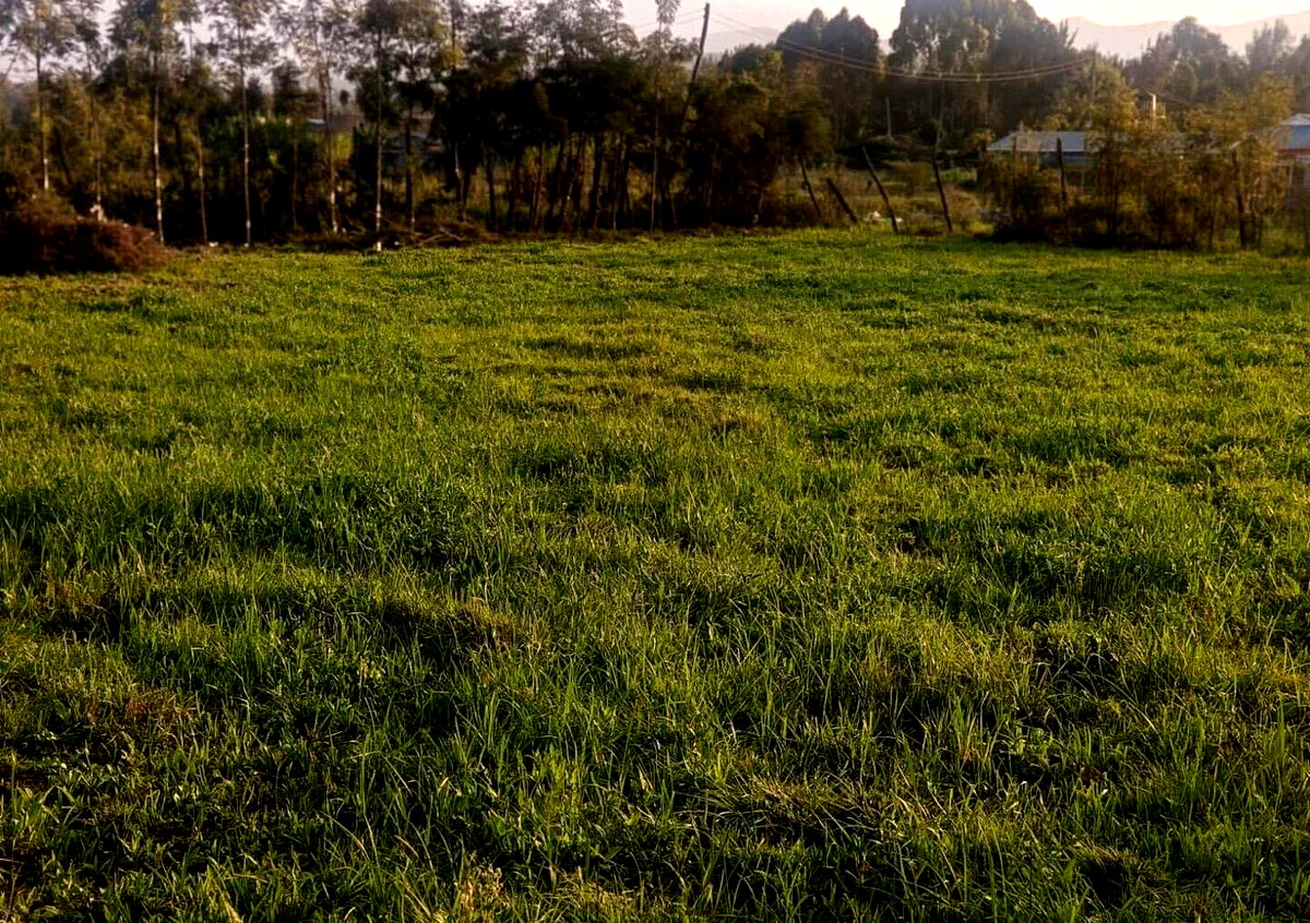 Half Acre Garden Plot in Oloolua