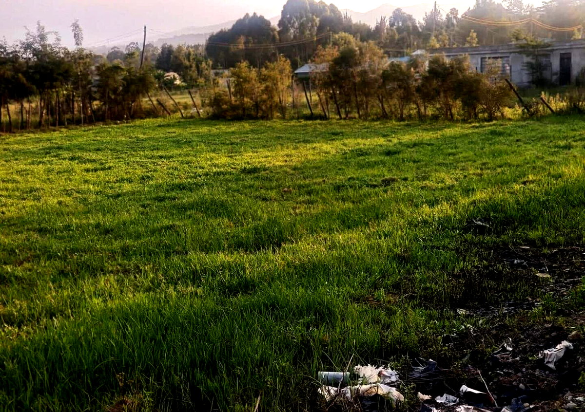 Half Acre Garden Plot in Oloolua