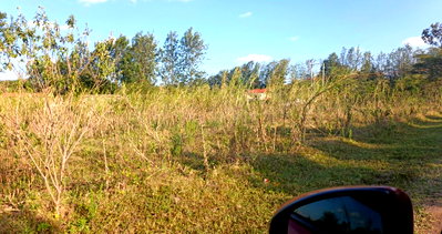 1 Acre Touching Tarmac for KSh 25M