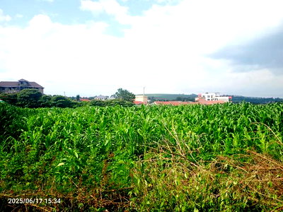 1/2 Acre on Sale Kiamunyi - Image 9