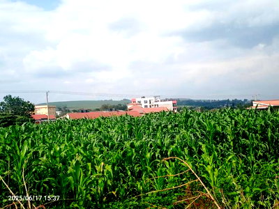 1/2 Acre on Sale Kiamunyi - Image 8