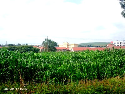 1/2 Acre on Sale Kiamunyi - Image 4