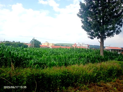 1/2 Acre on Sale Kiamunyi - Image 3