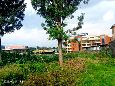 1/2 Acre on Sale Kiamunyi - Image 6