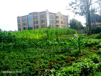 1/2 Acre on Sale Kiamunyi - Image 7